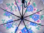 Зонт  женский складной Style art. 1501-2-22_product